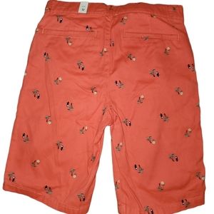 The Childrens Place Boys Shorts Size 12